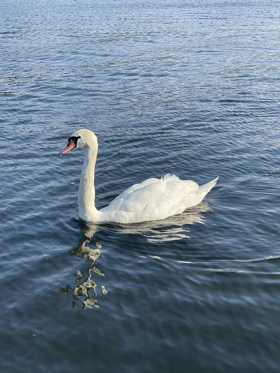 Juliane Mathan - Boote Miete - Bootscharter